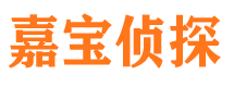 北湖侦探公司